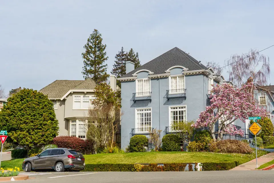 mold removal Nassau Bay